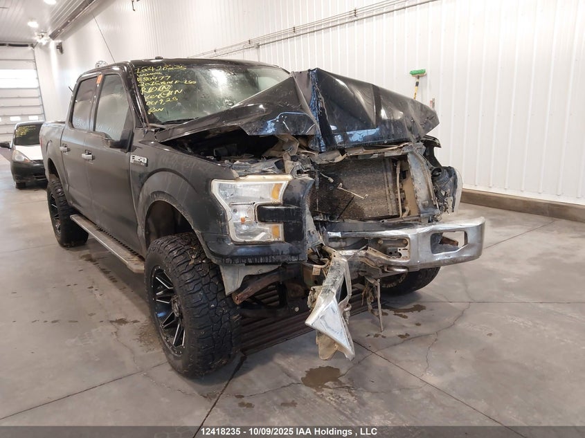 1FTEW1EF7GKE80477 2016 Ford F-150 Xlt auction photo 1