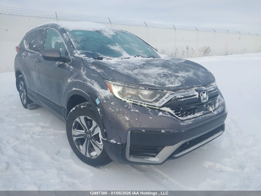 2HKRW2H24LH233166 HONDA CR-V Photo 1