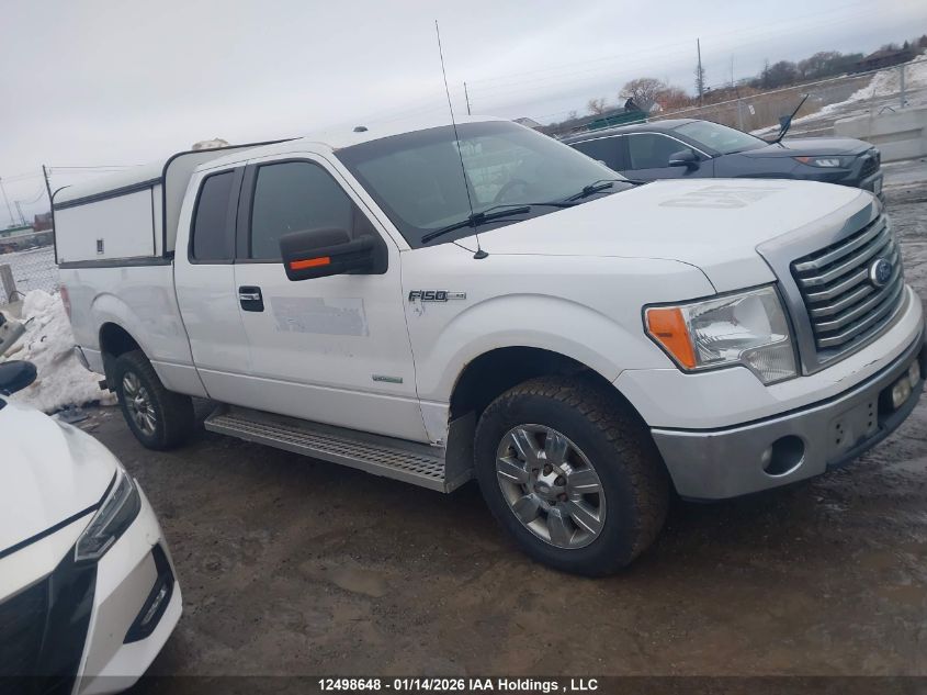 2012 Ford F150 Super Cab VIN: 1FTFX1CT9CFA30410 Lot: 12498648
