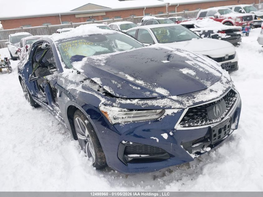 2021 Acura TLX