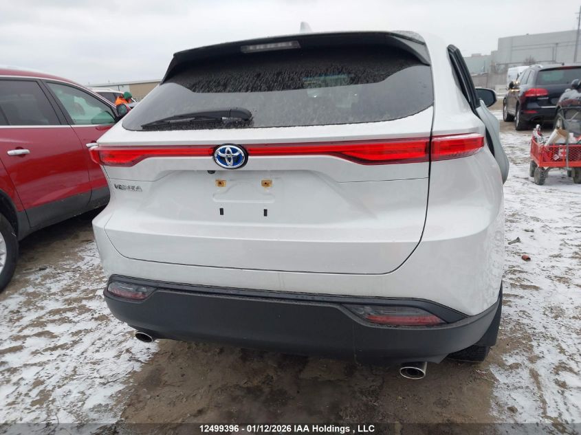 2023 Toyota Venza VIN: JTEAAAAH9PJ143301 Lot: 12499396