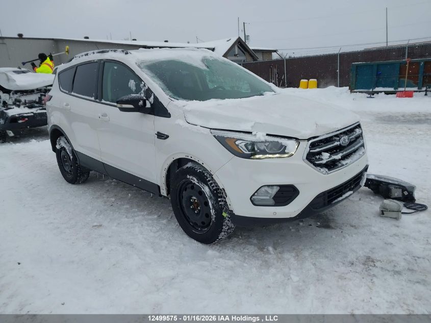 2019 Ford Escape