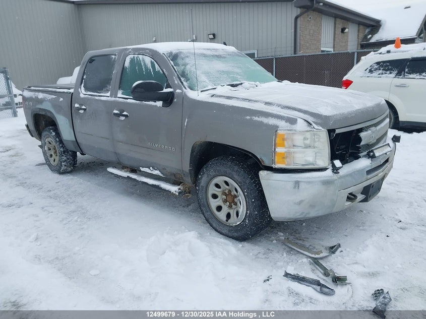 CHEVROLET SILVERADO 1500 K1500 LS