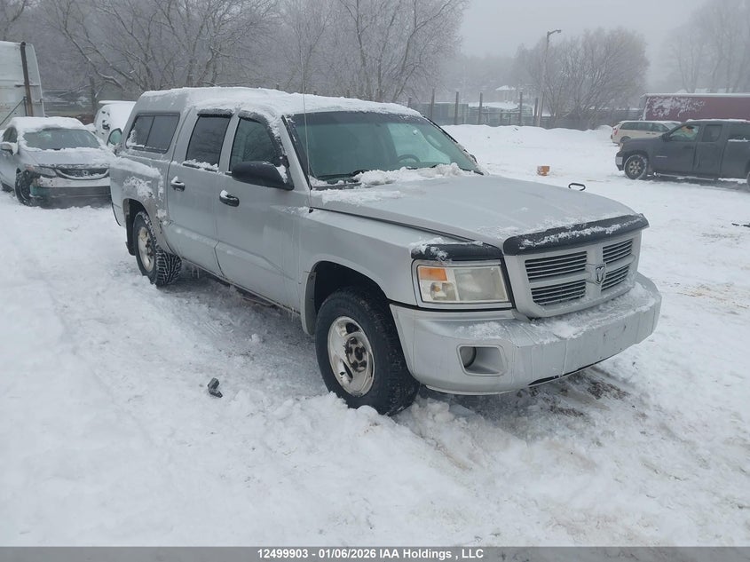 1D7RW3GK5BS504636 DODGE DAKOTA Photo 1