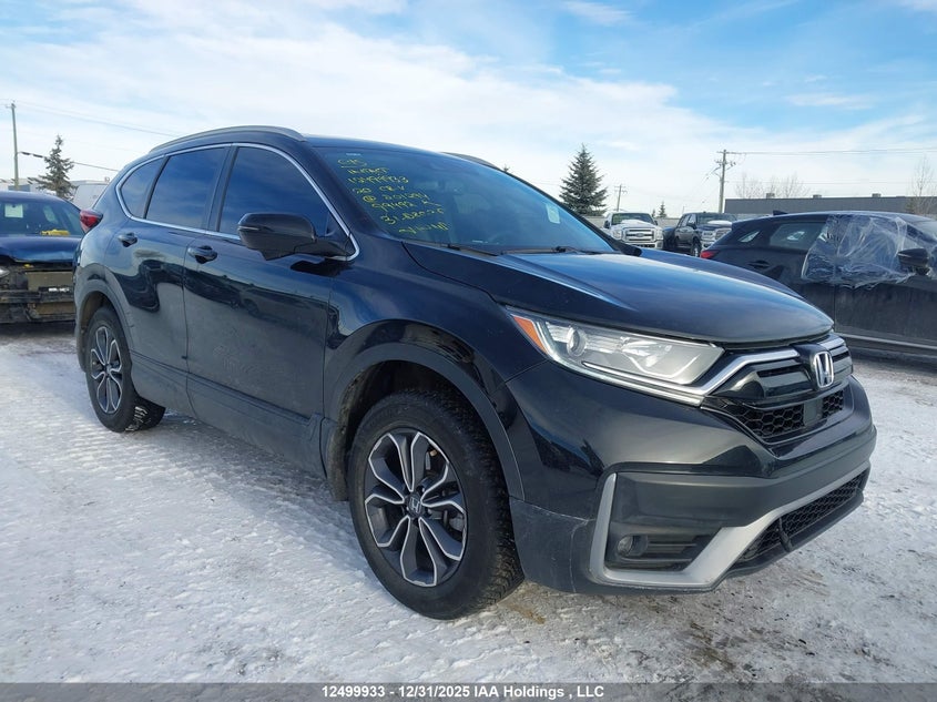 2HKRW2H81LH201294 2020 Honda Cr-V Exl auction photo 1
