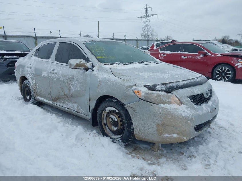 2T1BU4EE6AC370191 2010 Toyota Corolla Ce auction photo 1