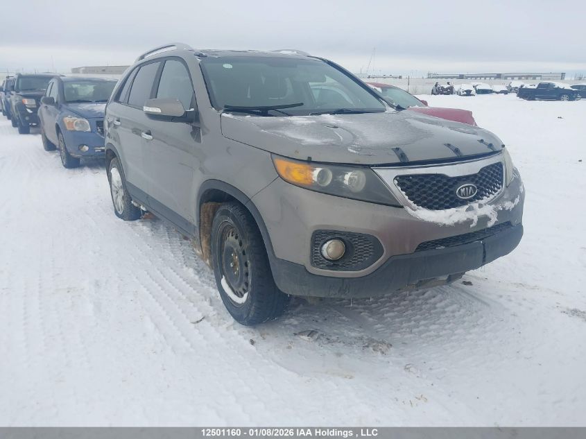 2011 Kia Sorento