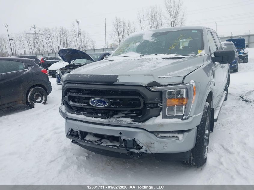 2023 Ford F150 Supercrew VIN: 1FTEW1EP1PKE96859 Lot: 12501731