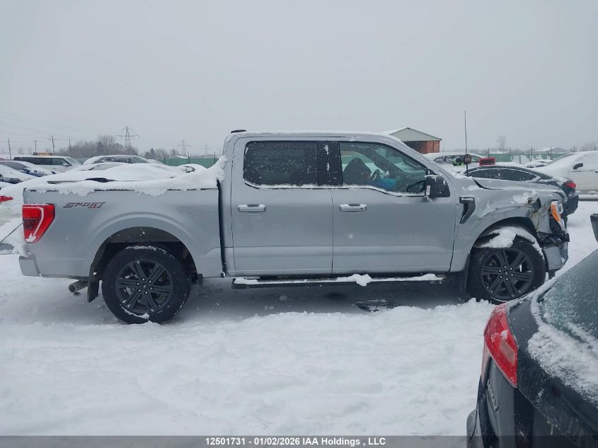 2023 Ford F150 Supercrew VIN: 1FTEW1EP1PKE96859 Lot: 12501731