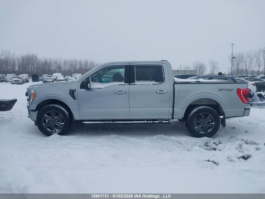 2023 Ford F150 Supercrew VIN: 1FTEW1EP1PKE96859 Lot: 12501731