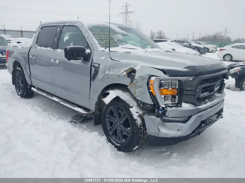 2023 Ford F150 Supercrew VIN: 1FTEW1EP1PKE96859 Lot: 12501731