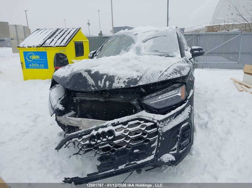 2023 Audi Sq5 Sportback Prestige VIN: WA134AFY8P2169759 Lot: 12501767