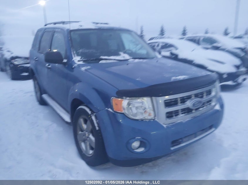1FMCU03G59KA41201 2009 Ford Escape Xlt Automatic auction photo 1