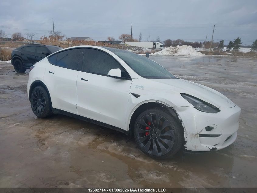 2023 Tesla Model Y