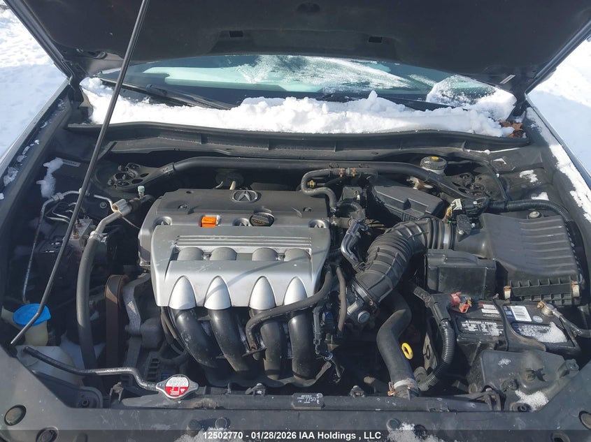 2012 Acura Tsx VIN: JH4CU2F42CC800338 Lot: 12502770