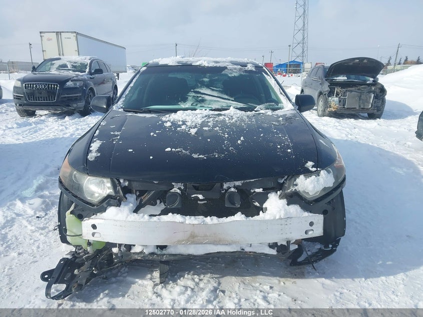 2012 Acura Tsx VIN: JH4CU2F42CC800338 Lot: 12502770