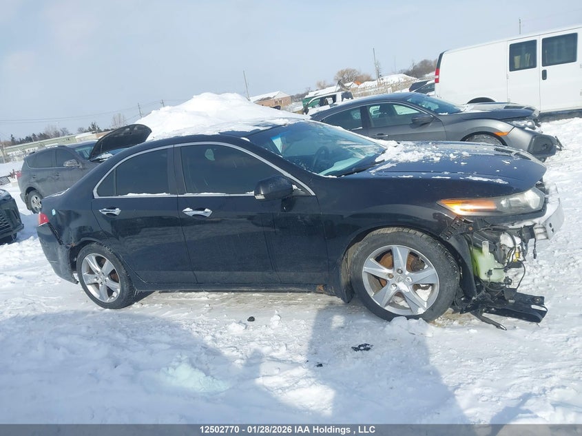 2012 Acura Tsx VIN: JH4CU2F42CC800338 Lot: 12502770