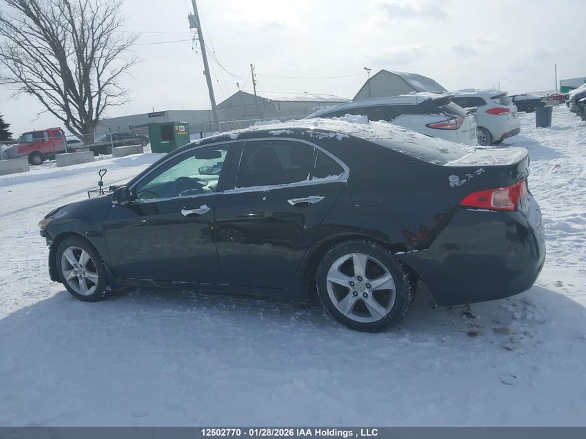 2012 Acura Tsx VIN: JH4CU2F42CC800338 Lot: 12502770