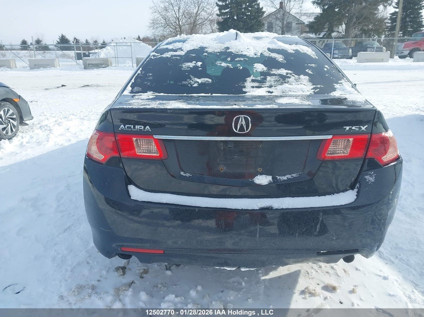 2012 Acura Tsx VIN: JH4CU2F42CC800338 Lot: 12502770