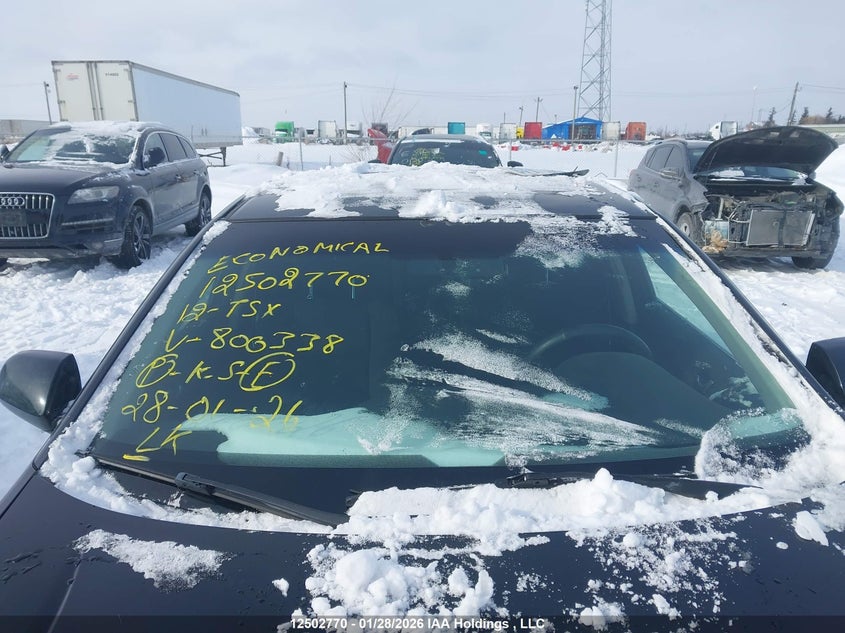 2012 Acura Tsx VIN: JH4CU2F42CC800338 Lot: 12502770