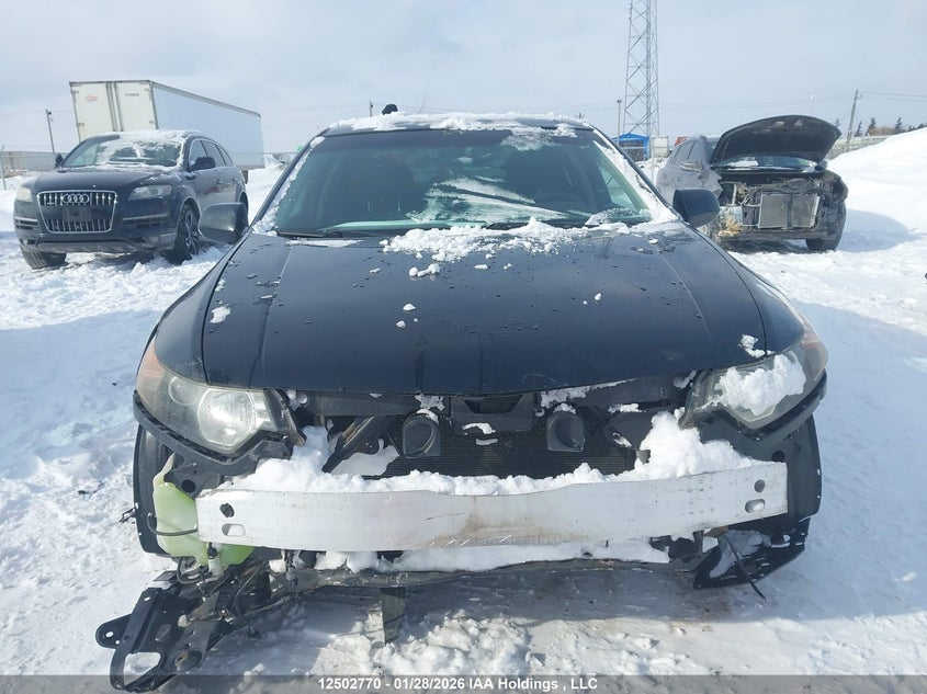 2012 Acura Tsx VIN: JH4CU2F42CC800338 Lot: 12502770