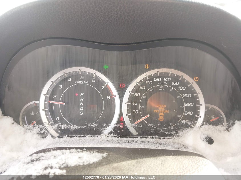 2012 Acura Tsx VIN: JH4CU2F42CC800338 Lot: 12502770