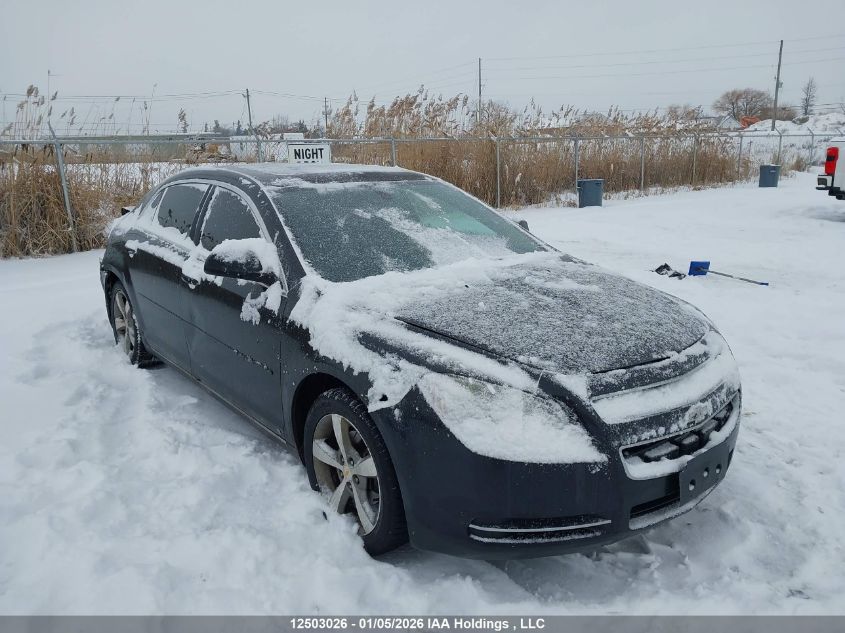 2009 Chevrolet Malibu