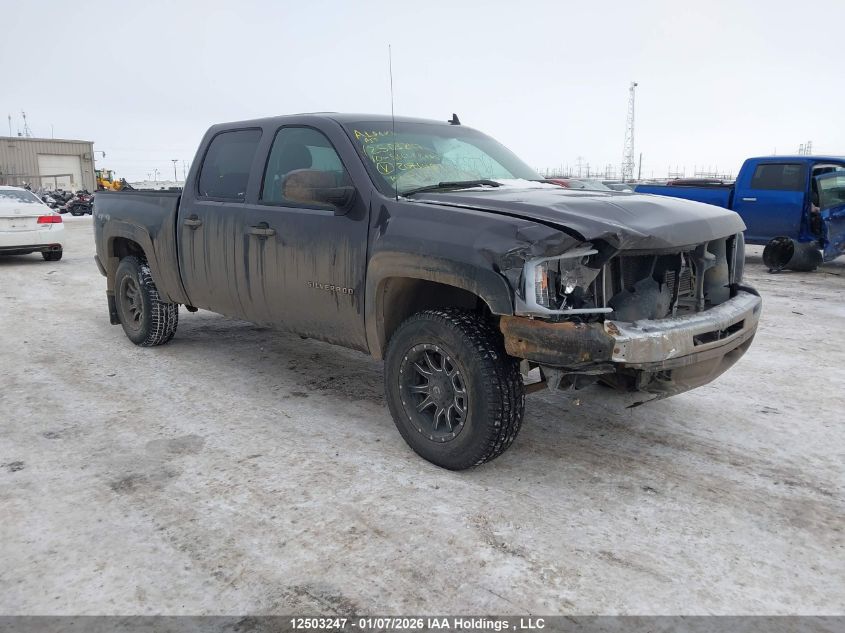 2010 Chevrolet Silverado 1500