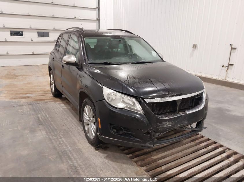 2011 Volkswagen Tiguan