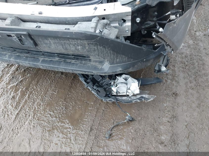 2020 Toyota Rav4 Le VIN: 2T3B1RFV7LC117668 Lot: 12503454