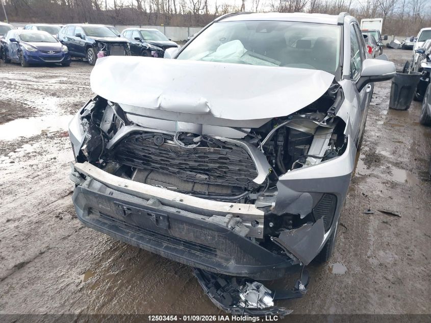 2020 Toyota Rav4 Le VIN: 2T3B1RFV7LC117668 Lot: 12503454