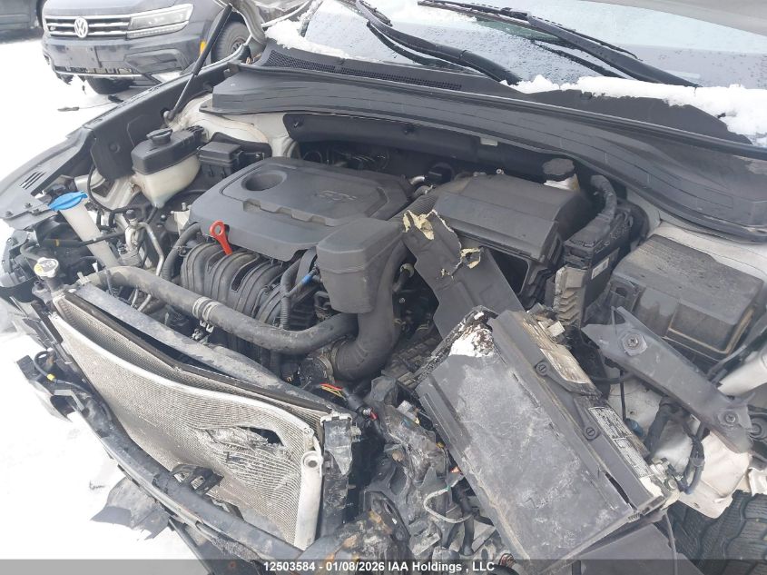 2019 Hyundai Santa Fe Sel/Sel Plus VIN: 5NMS3CAD7KH081293 Lot: 12503584