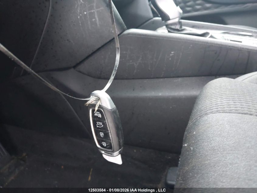 2019 Hyundai Santa Fe Sel/Sel Plus VIN: 5NMS3CAD7KH081293 Lot: 12503584