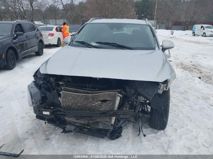 2019 Hyundai Santa Fe Sel/Sel Plus VIN: 5NMS3CAD7KH081293 Lot: 12503584