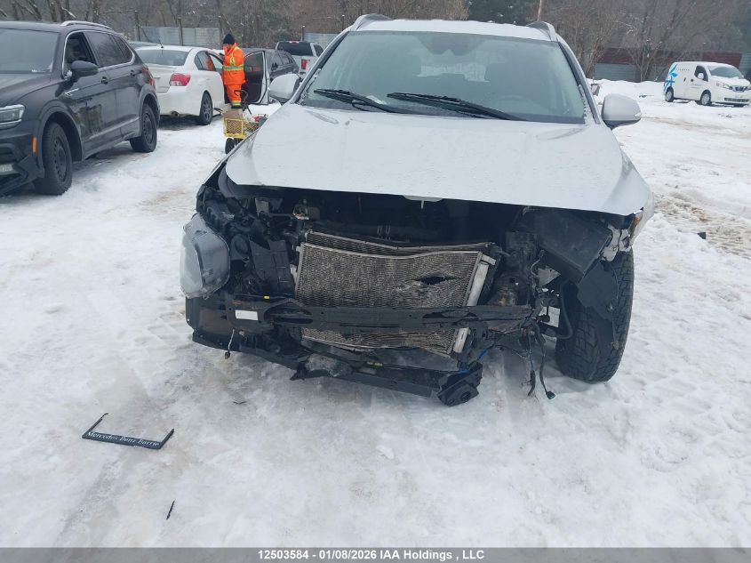 2019 Hyundai Santa Fe Sel/Sel Plus VIN: 5NMS3CAD7KH081293 Lot: 12503584