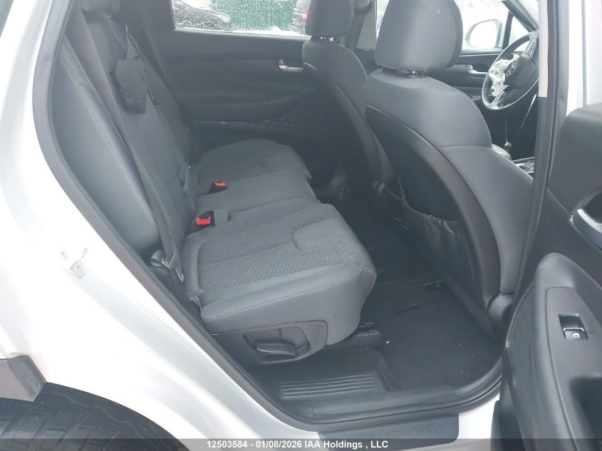 2019 Hyundai Santa Fe Sel/Sel Plus VIN: 5NMS3CAD7KH081293 Lot: 12503584