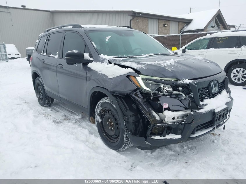 5FNYF8H26LB501938 HONDA PASSPORT Photo 1