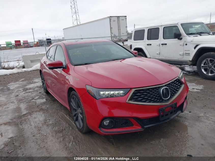 2019 Acura TLX