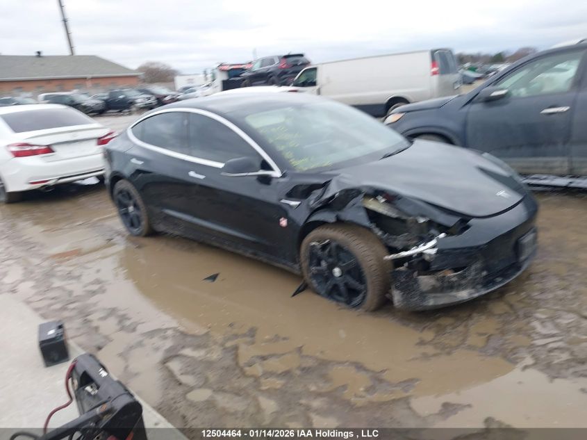 2019 Tesla Model 3