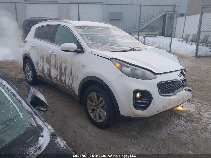 2019 Kia Sportage