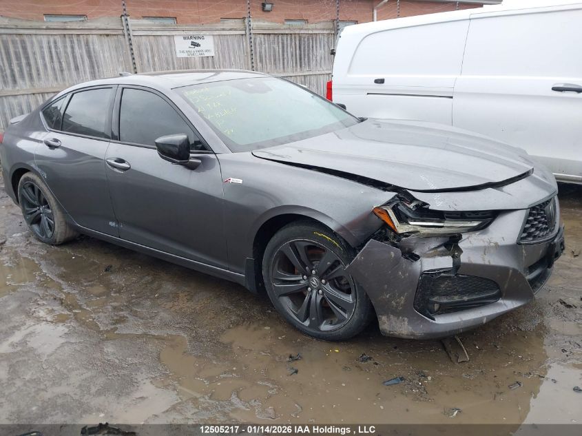 2021 Acura TLX