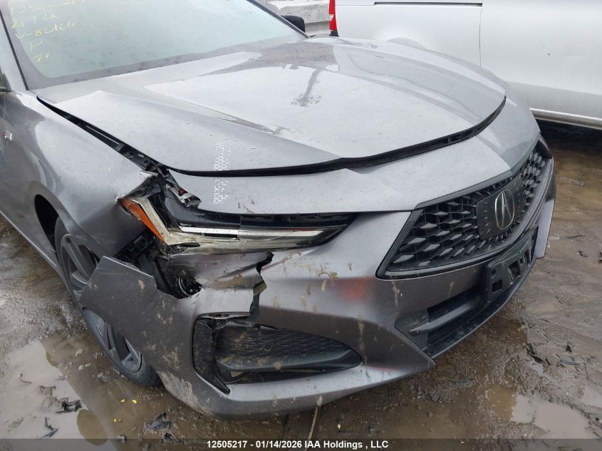 2021 Acura Tlx VIN: 19UUB6F55MA801610 Lot: 12505217