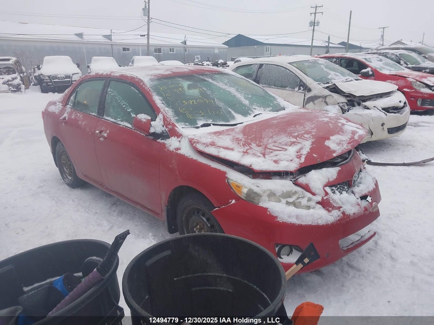 2T1BU4EE1AC372074 2010 Toyota Corolla Le auction photo 1