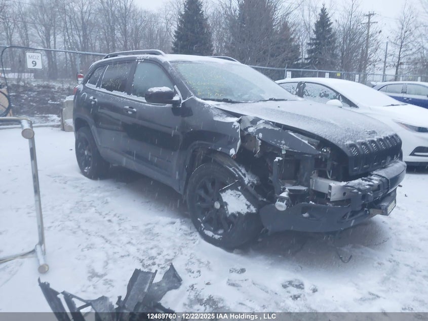 1C4PJMCB3EW304699 2014 Jeep Cherokee North auction photo 1