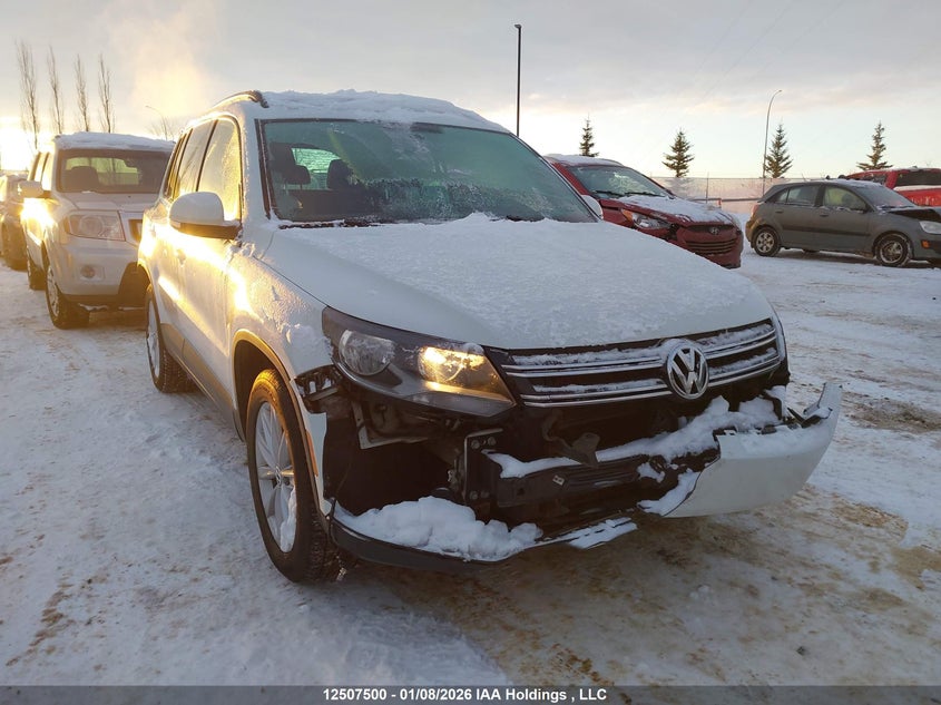 2015 Volkswagen Tiguan Comfortline/Trendline VIN: WVGHV7AX8FW514964 Lot: 12507500