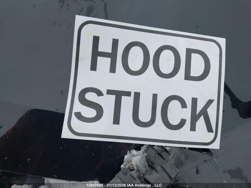 2019 Toyota Rav4 Xle/Xle Premium VIN: 2T3R1RFV9KC046891 Lot: 12507688