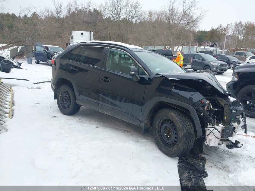 2019 Toyota Rav4 Xle/Xle Premium VIN: 2T3R1RFV9KC046891 Lot: 12507688