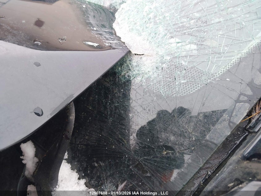 2019 Toyota Rav4 Xle/Xle Premium VIN: 2T3R1RFV9KC046891 Lot: 12507688