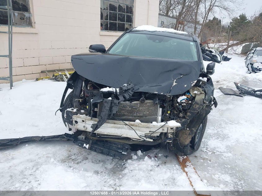 2019 Toyota Rav4 Xle/Xle Premium VIN: 2T3R1RFV9KC046891 Lot: 12507688