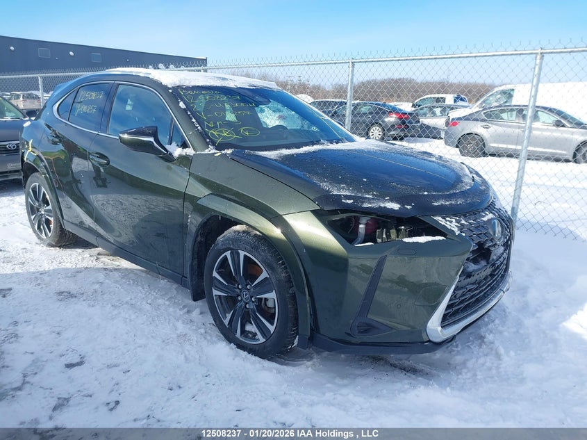 LEXUS UX 300H